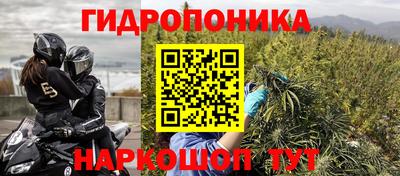 стаф Ливны