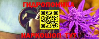 стаф Ливны