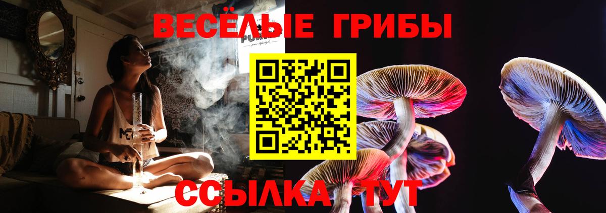 Иваново  Галлюциногенные грибы Magic Shrooms  Вход с VPN 