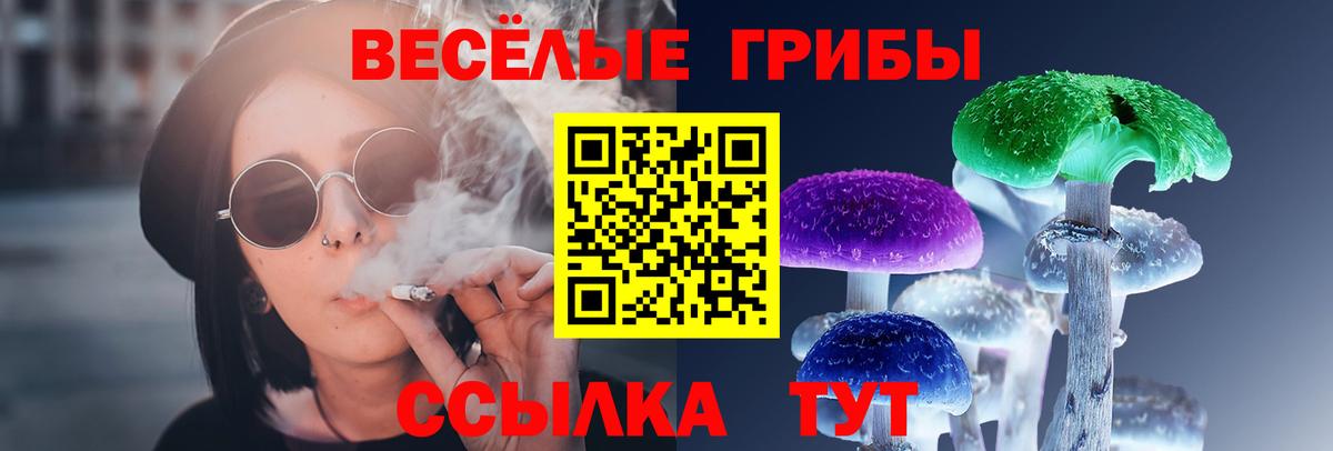 Галлюциногенные грибы Psilocybine cubensis Иваново